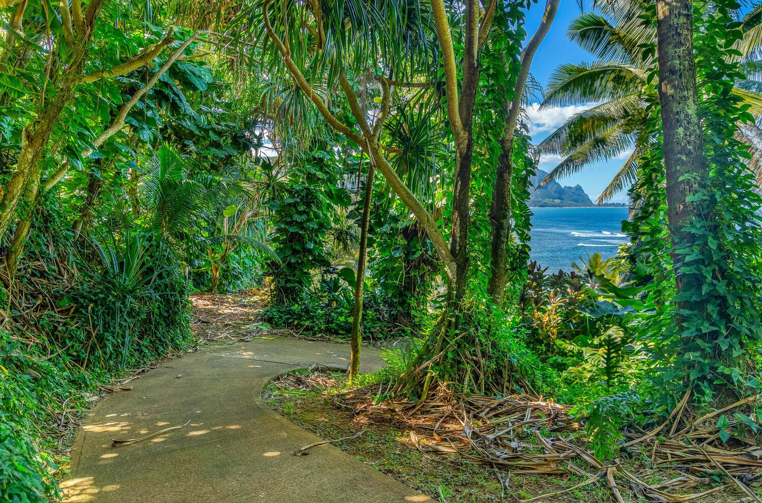 Path to Beach