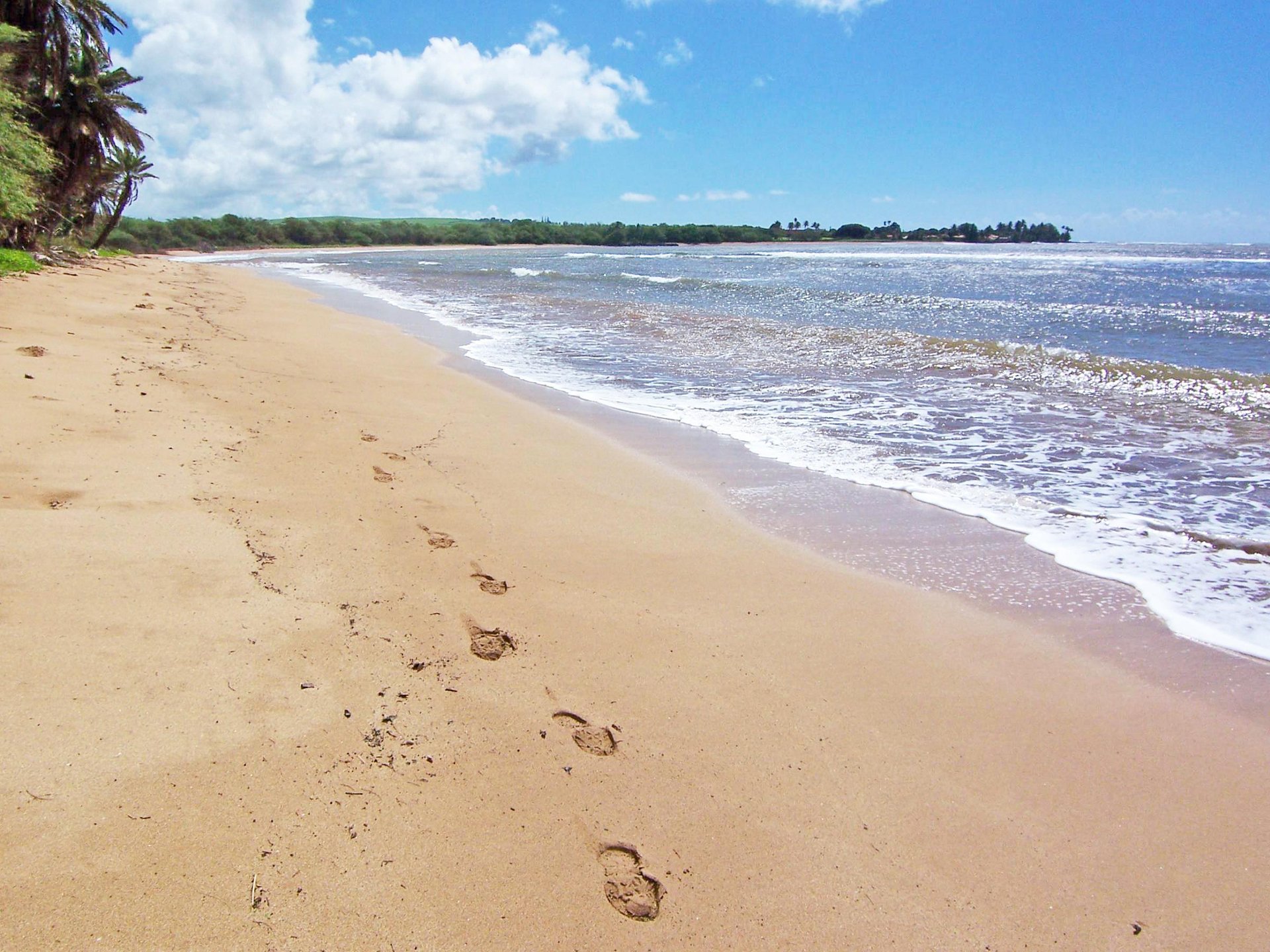 Footprints in the Beach
