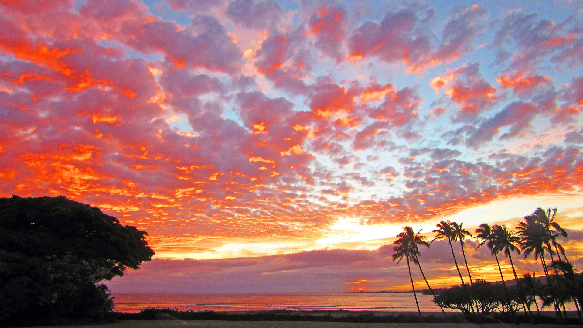 Sunset View