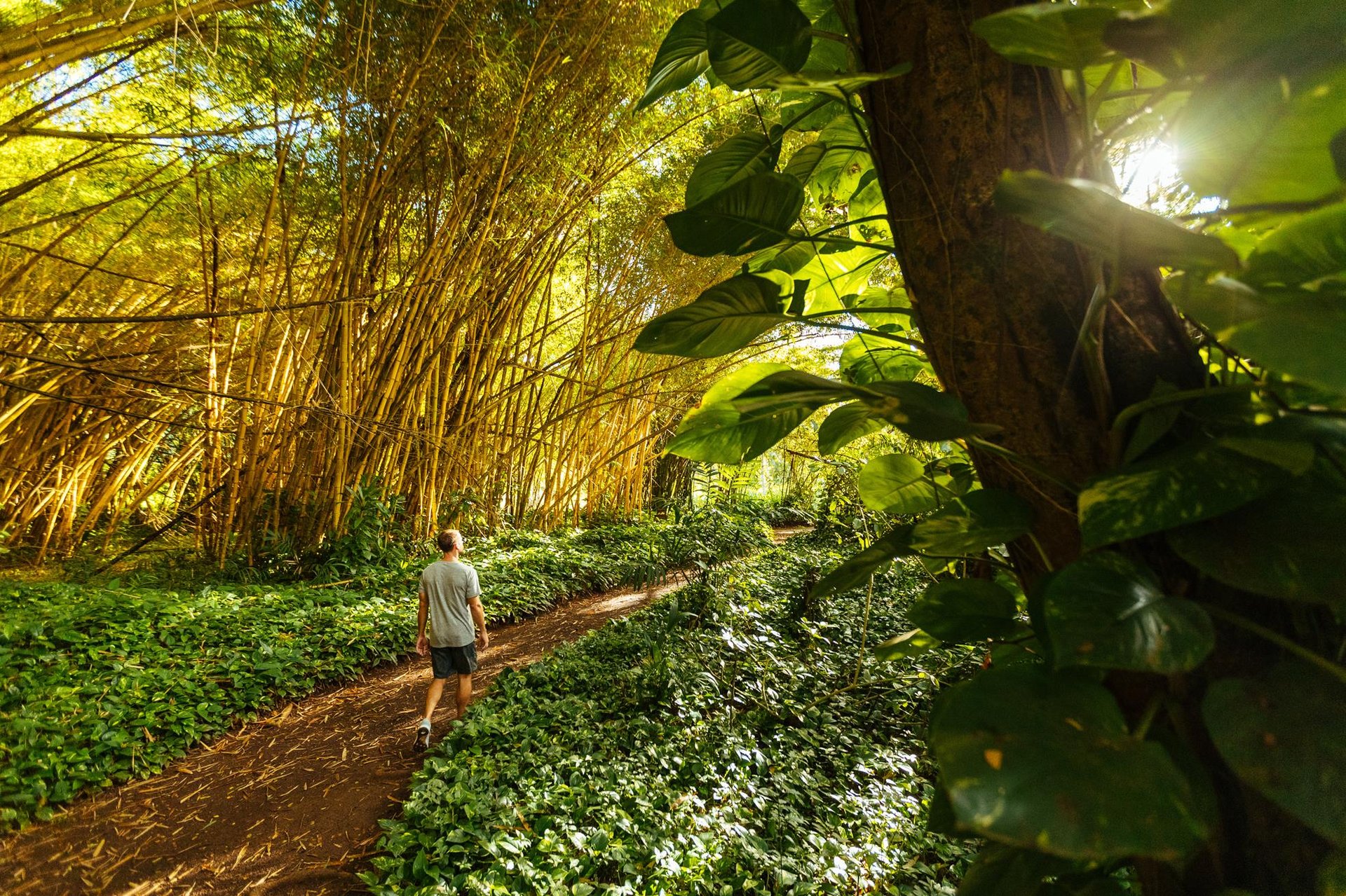 Allerton Garden ... Credit HTA  Ben Ono