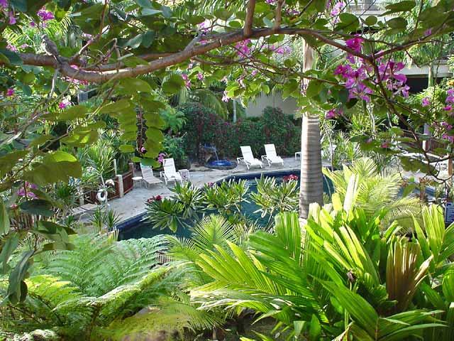 Prince Kuhio Pool