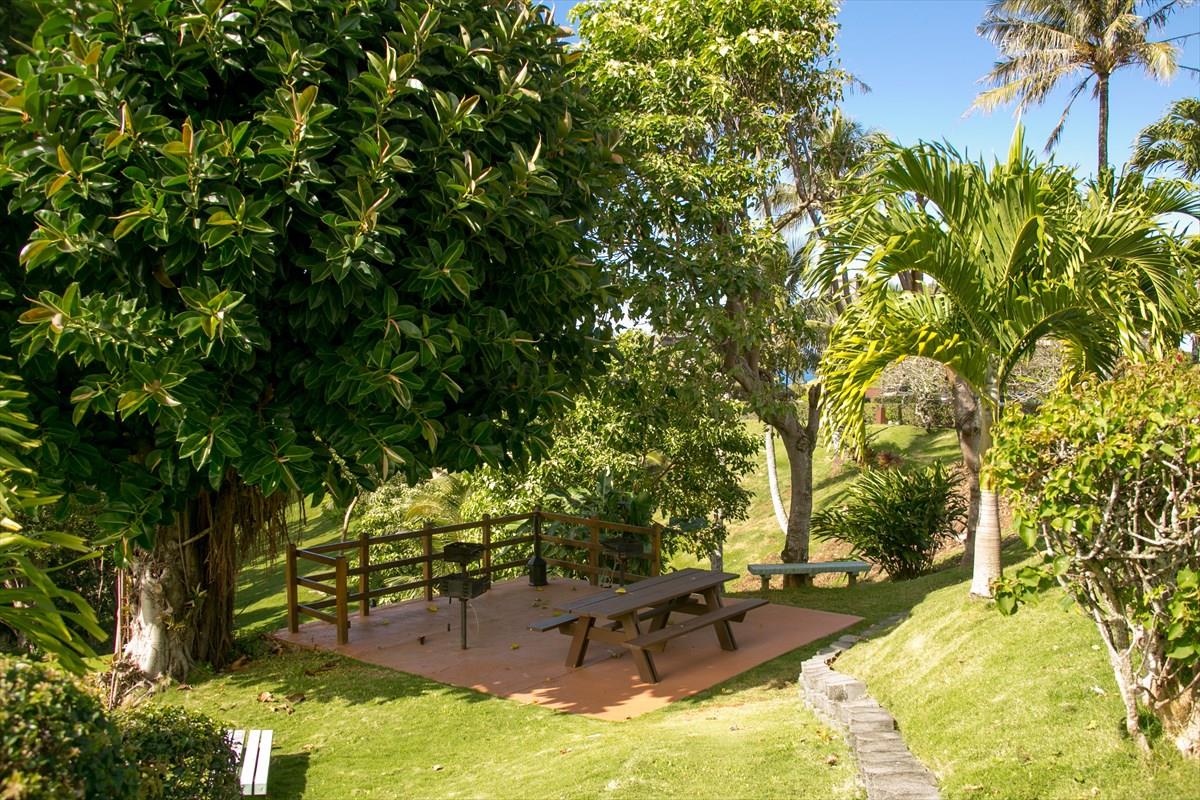 BBQ Area