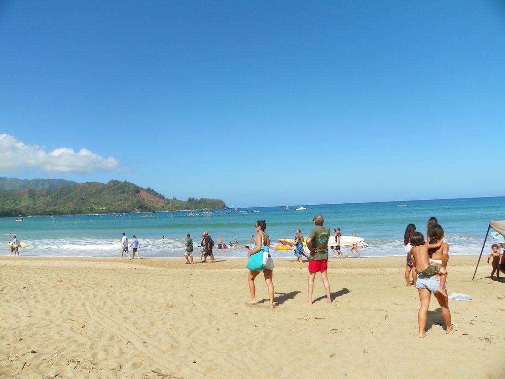 Hanalei Beach