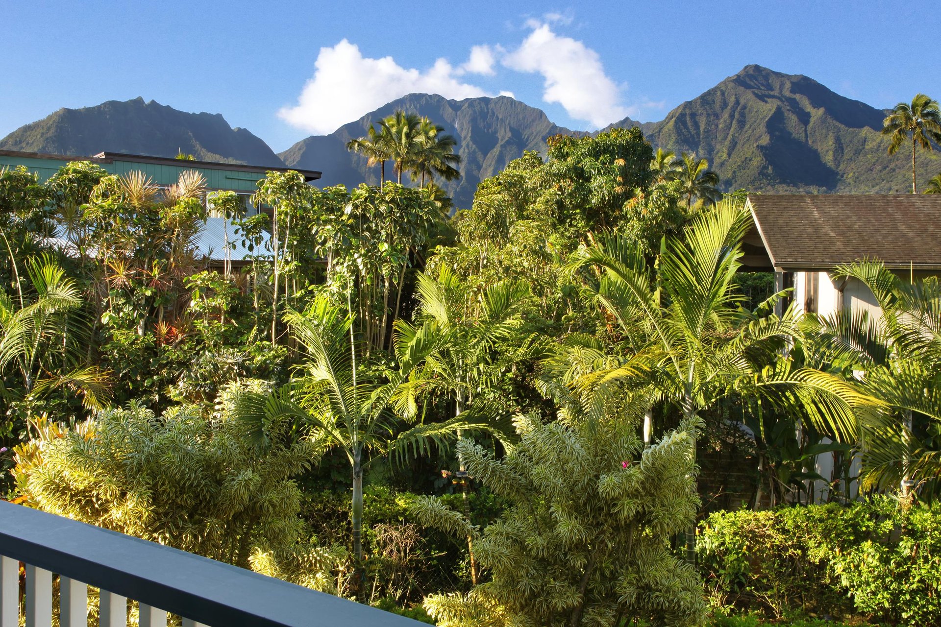 Lanai View