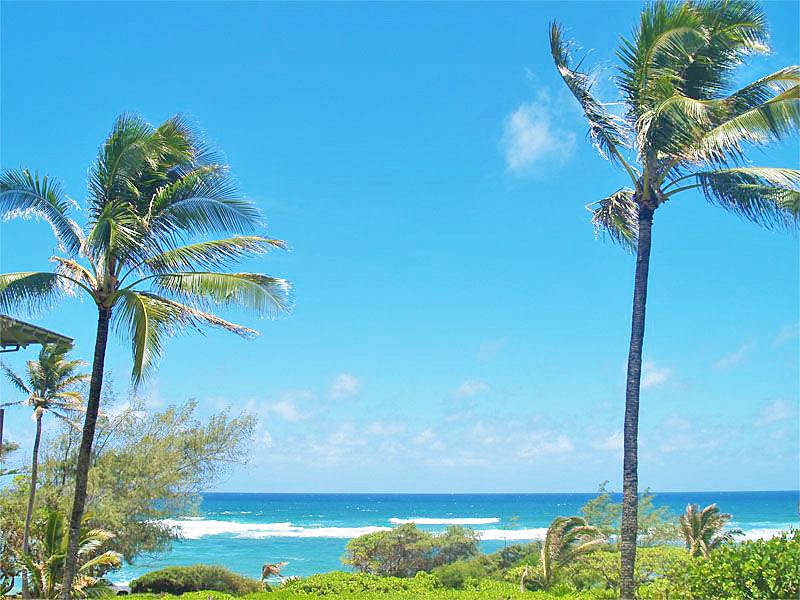Ocean View