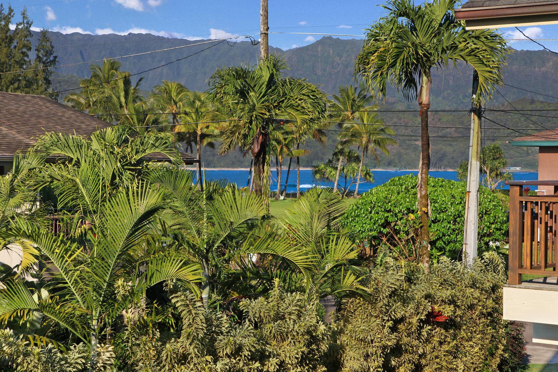 Lanai View
