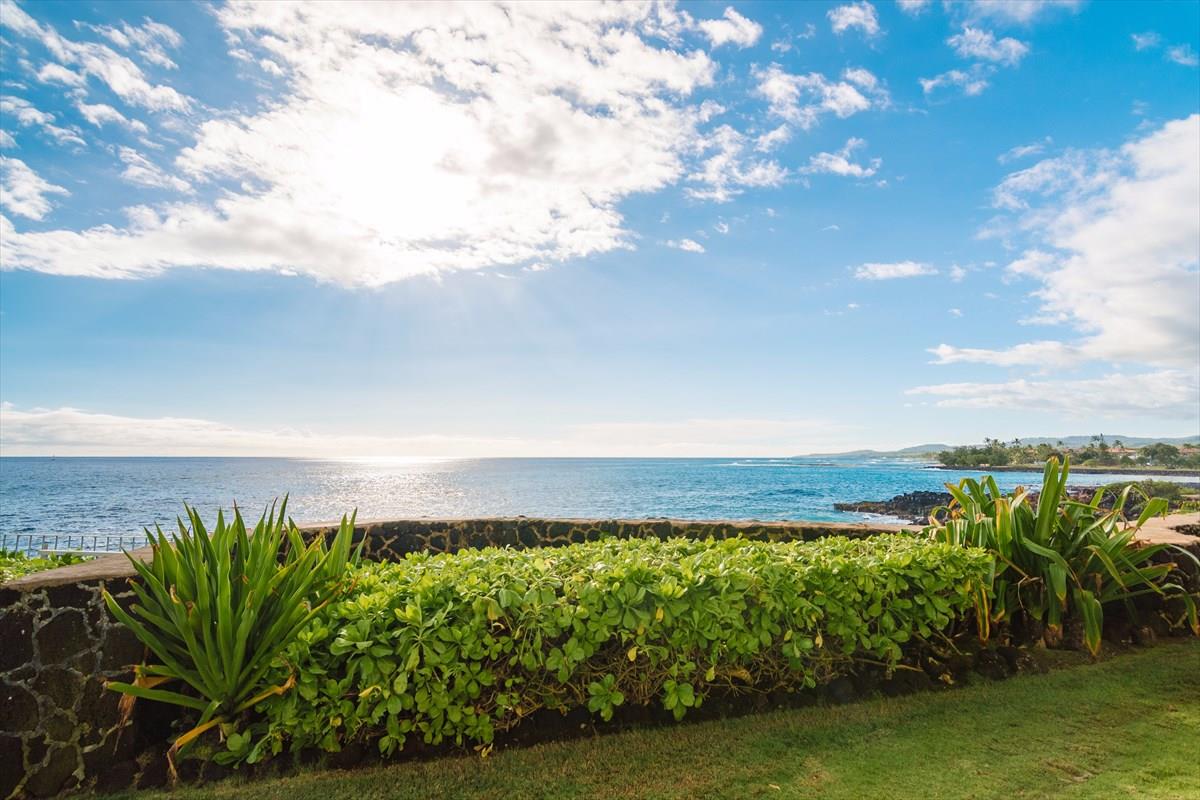 Ocean View