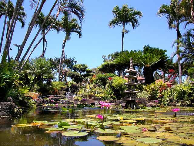 Pond at Pono Kai
