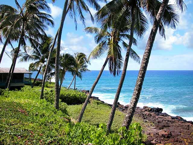Ocean View