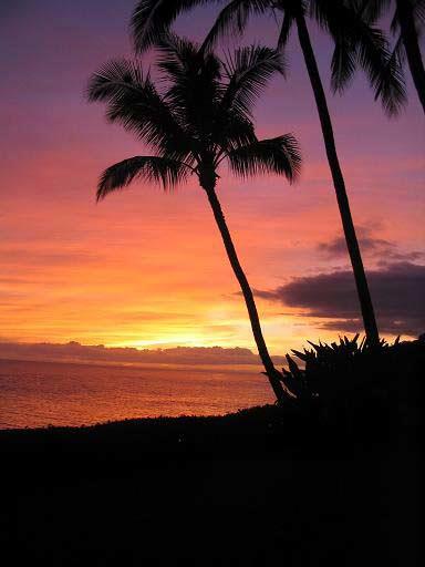 Sunset Views