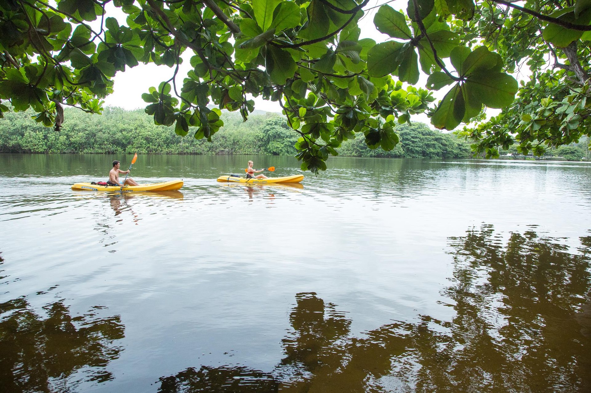 Kayaking in Wailua River ... Credit HTA  Tor Johnson