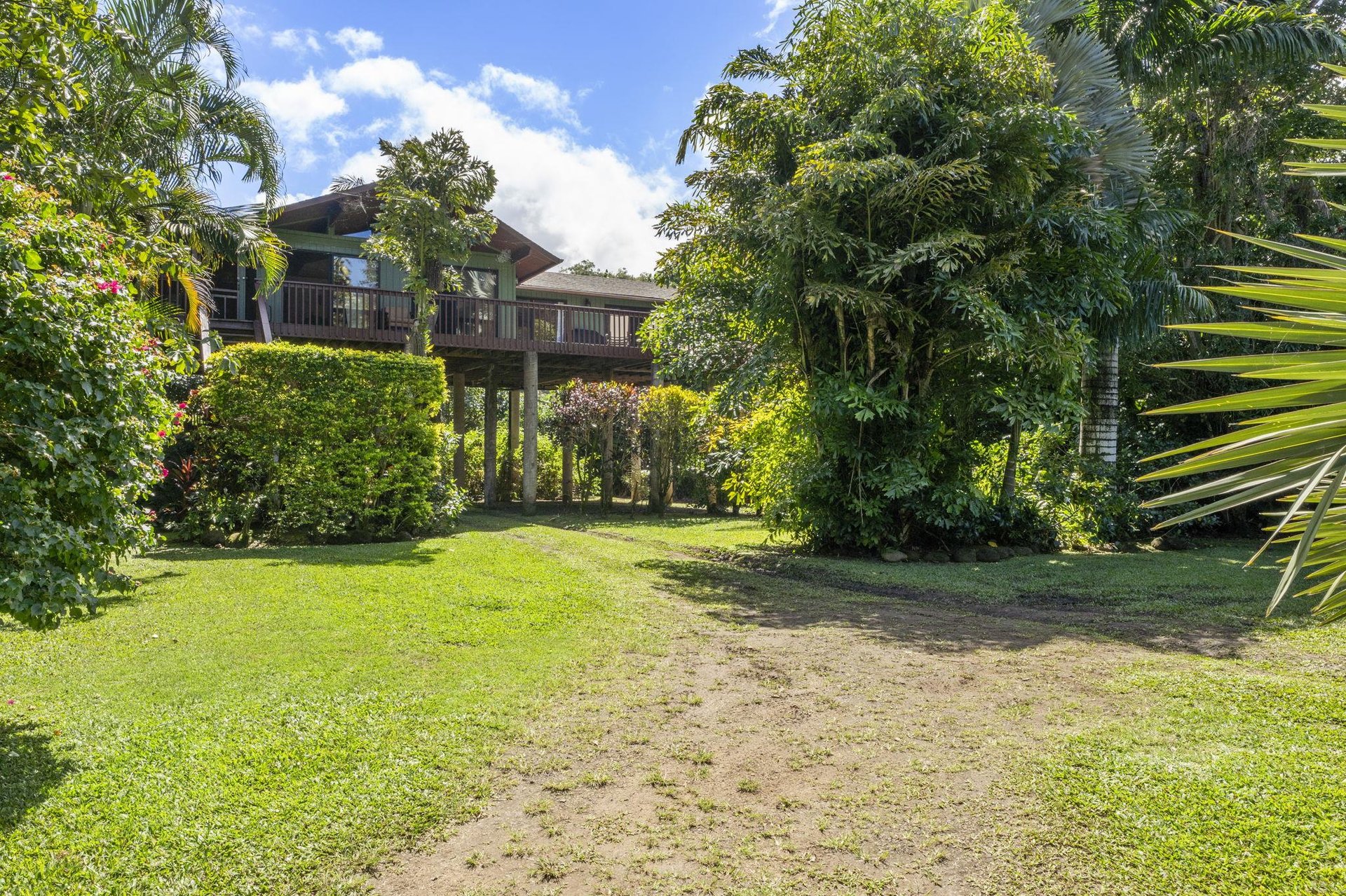 Wainiha Palms