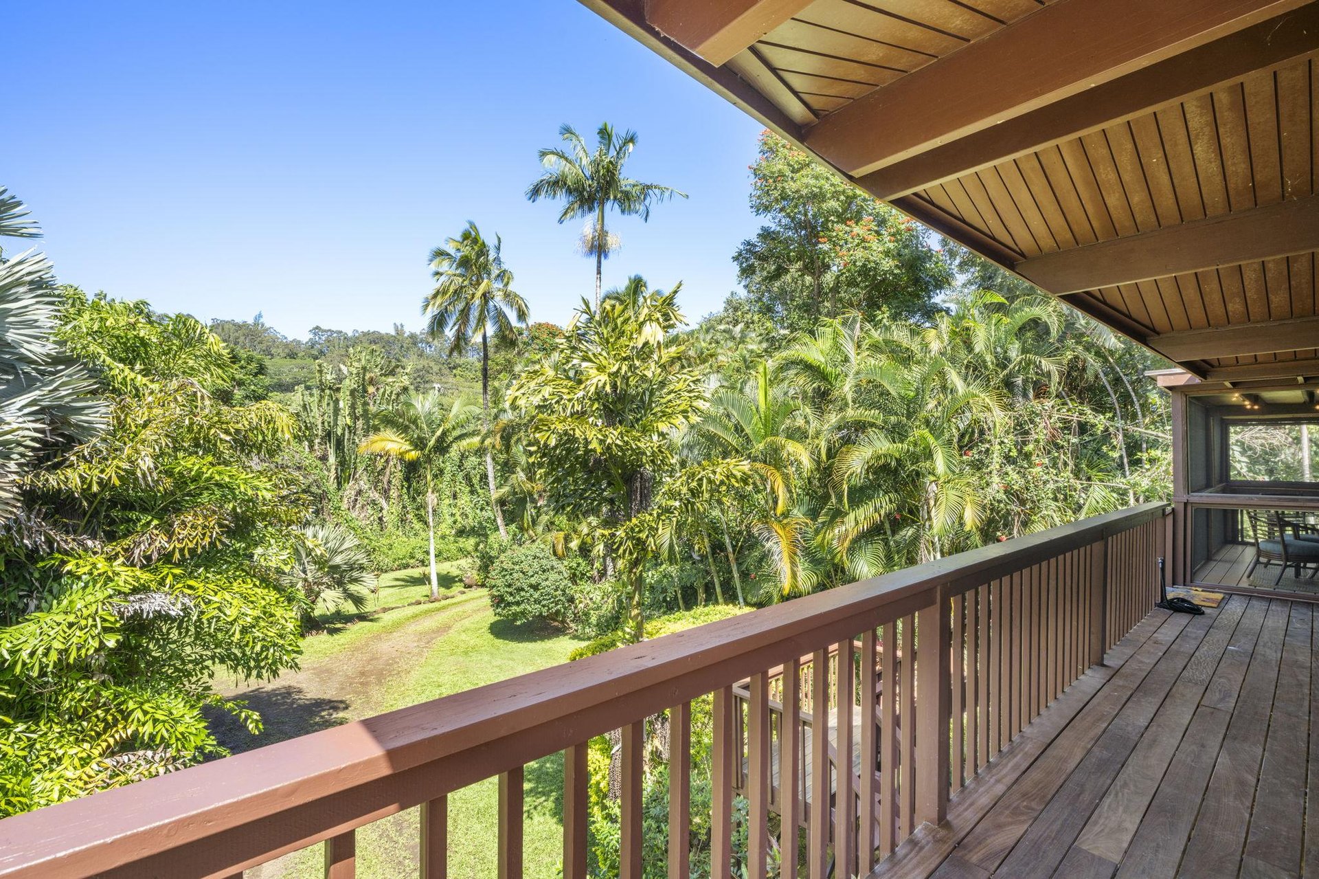 Lush greenery surrounds home