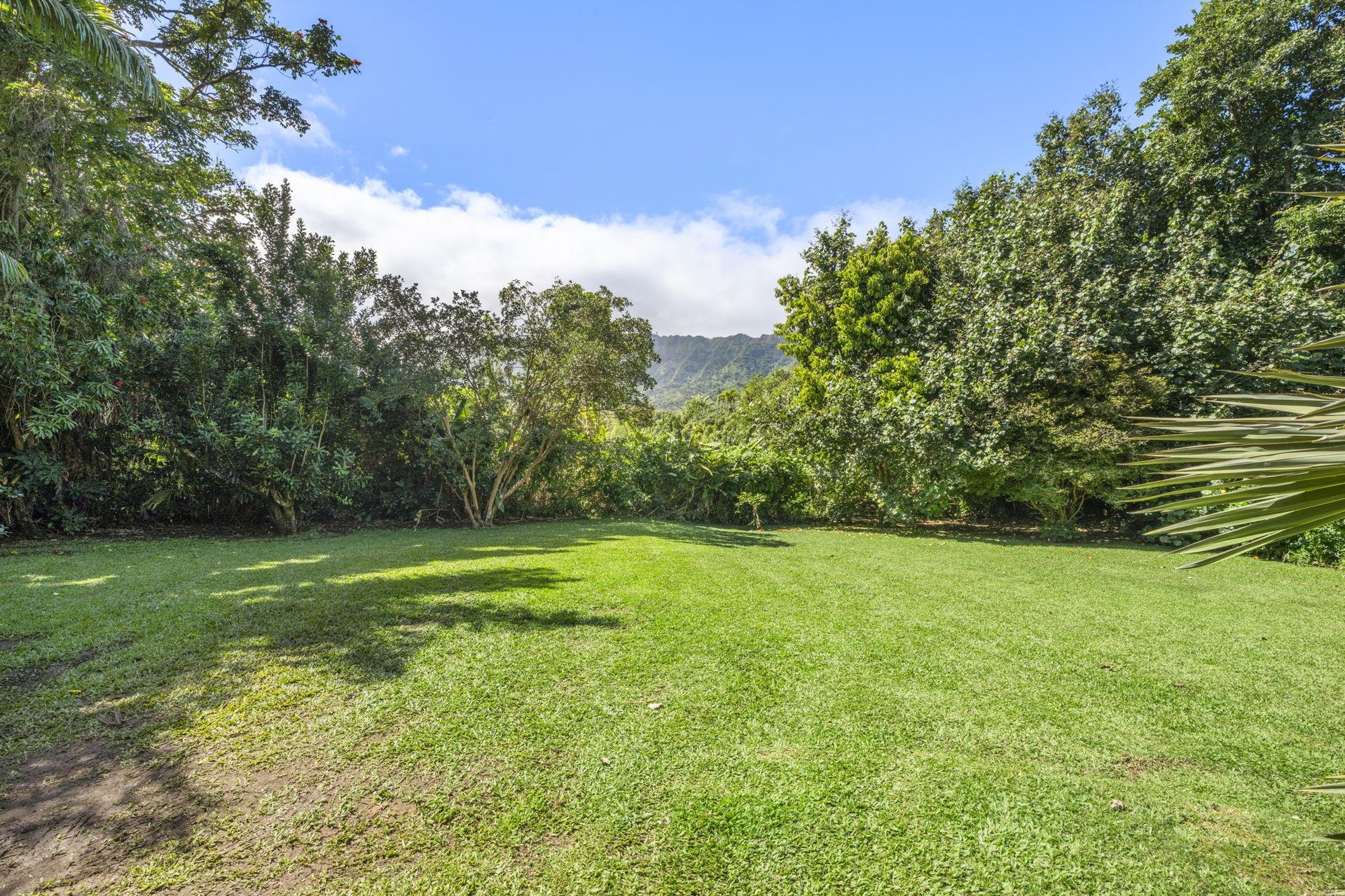 Big open front yard