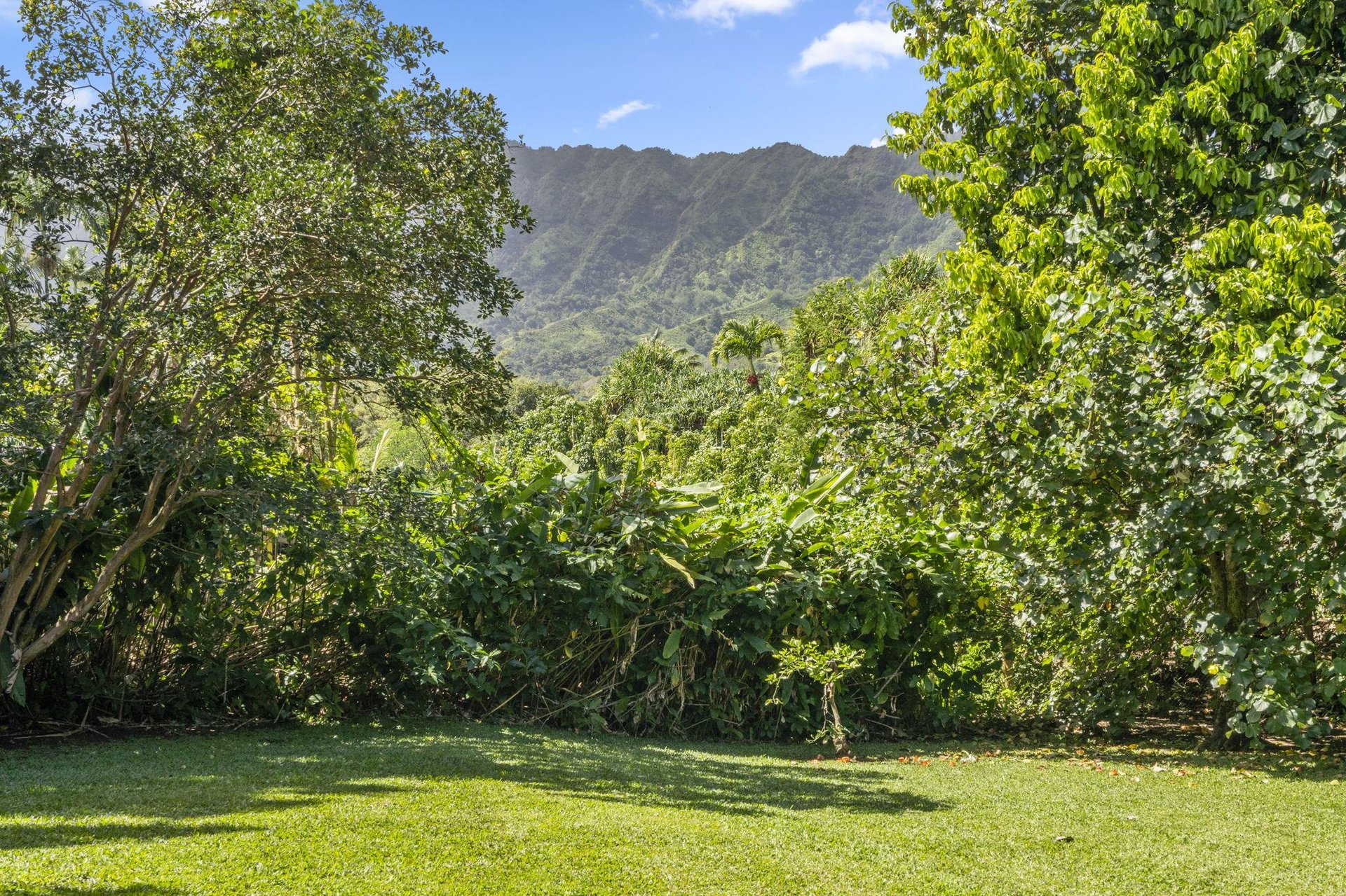 Mountain view from front yard