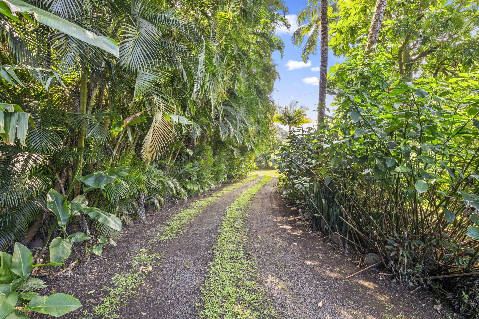 Wainiha Palms drive way