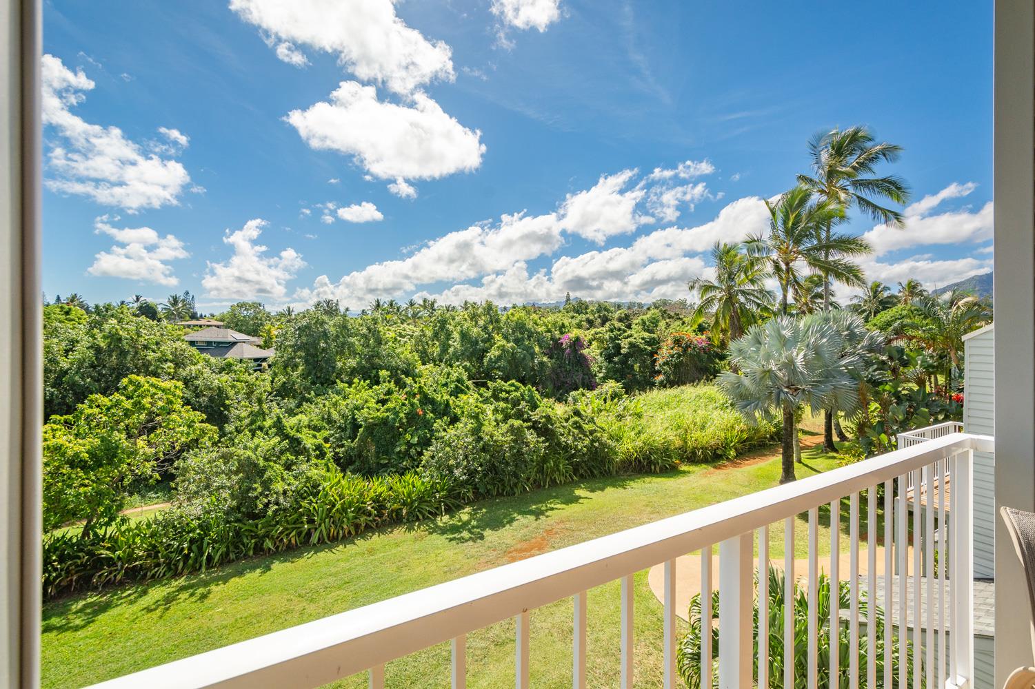 Lanai View