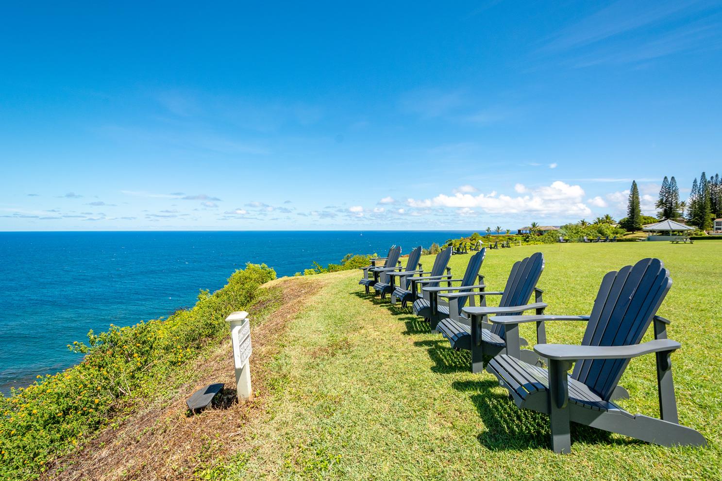 Great spot to view dolphins, sea turtles and humpback whales