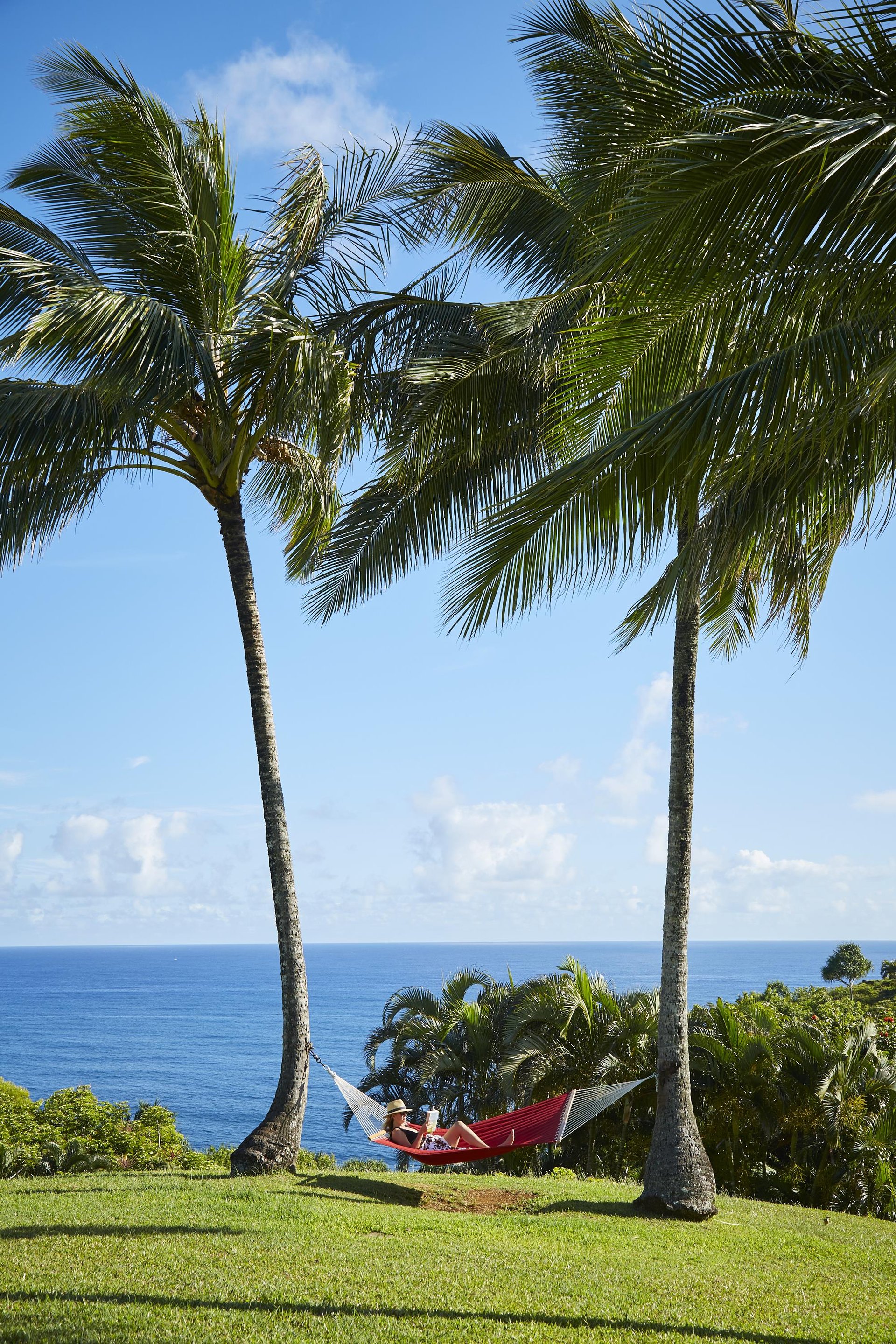 Relax with Tropical Breezes