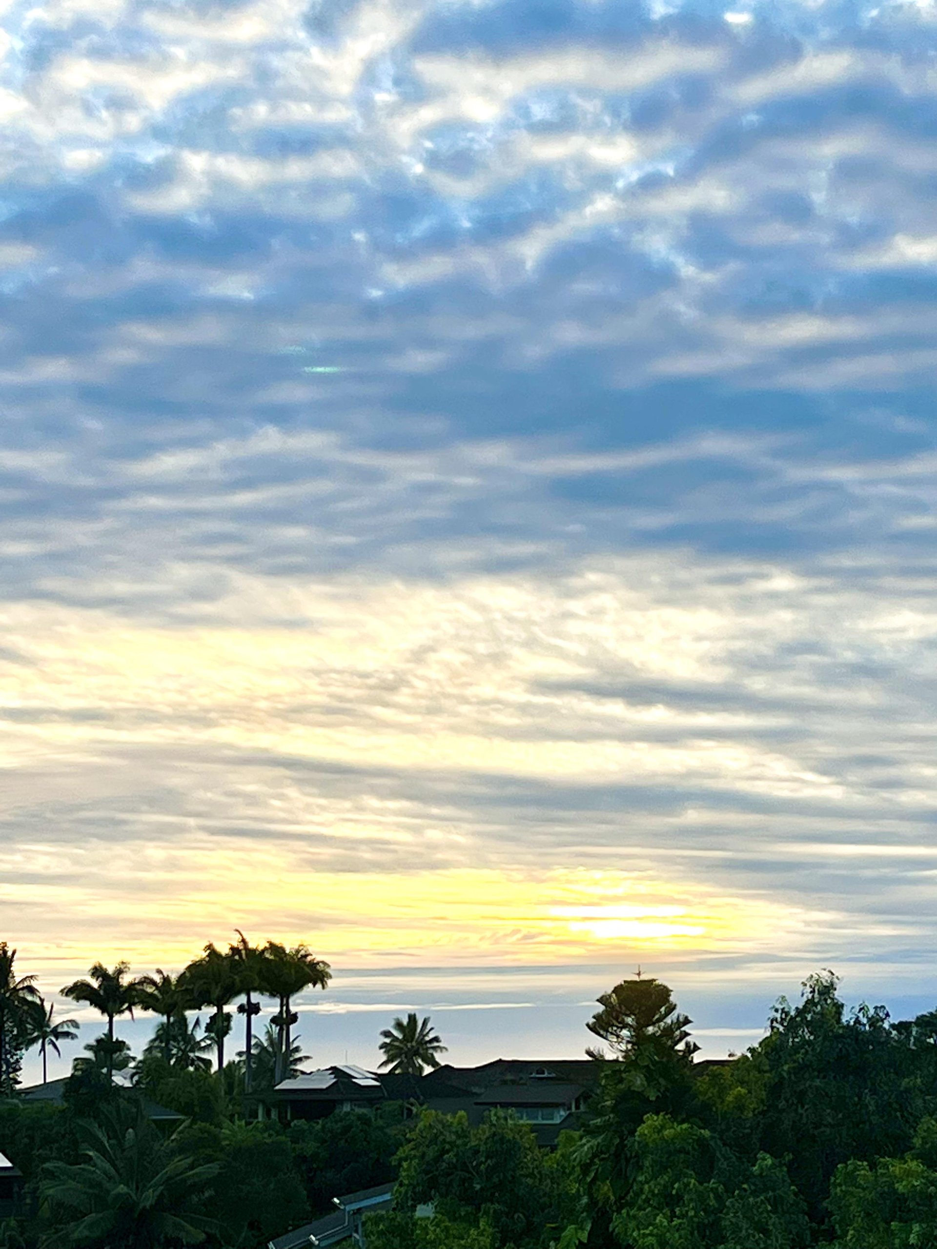 Sunrise Skies
