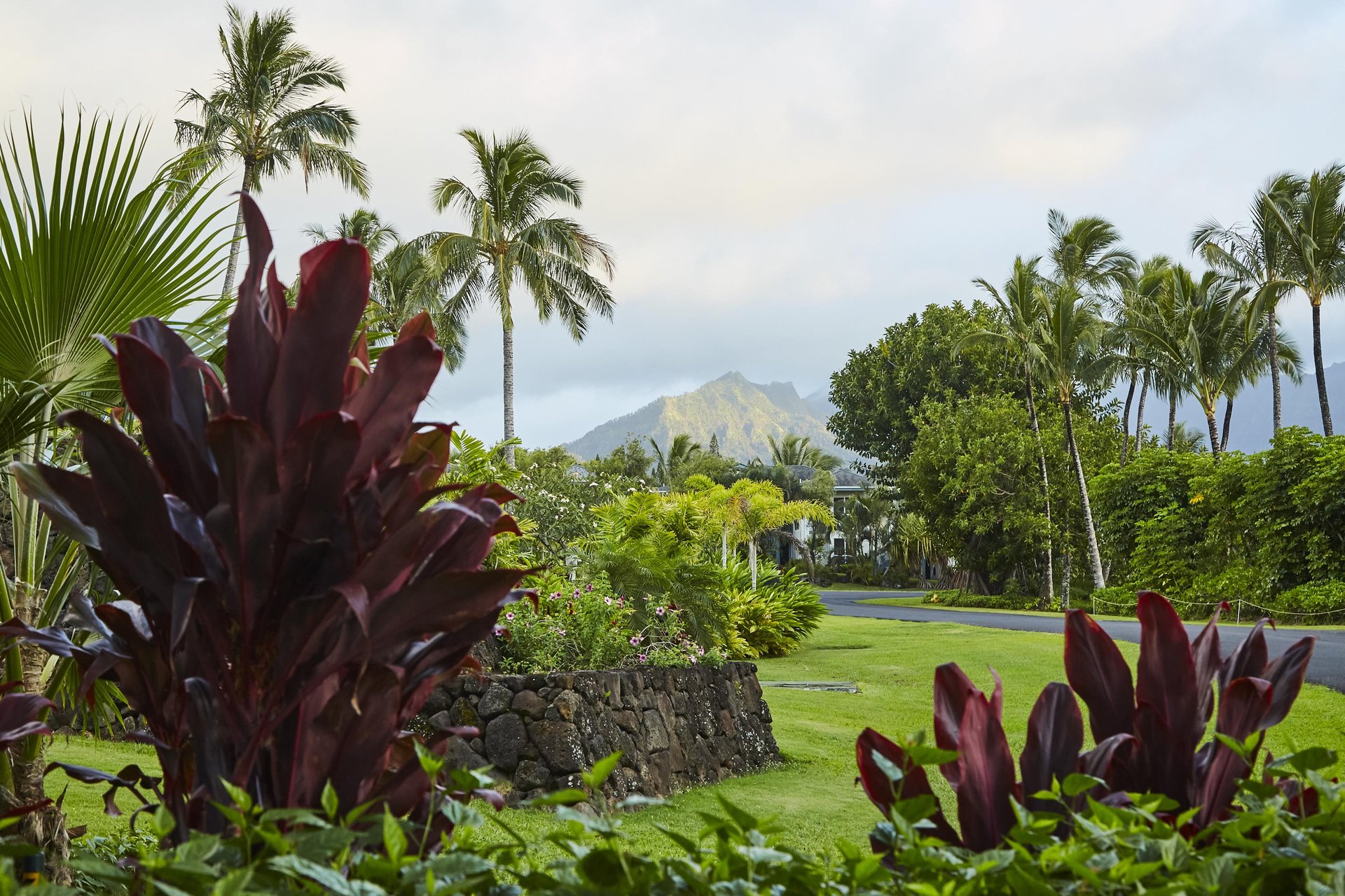 Lush Greenery