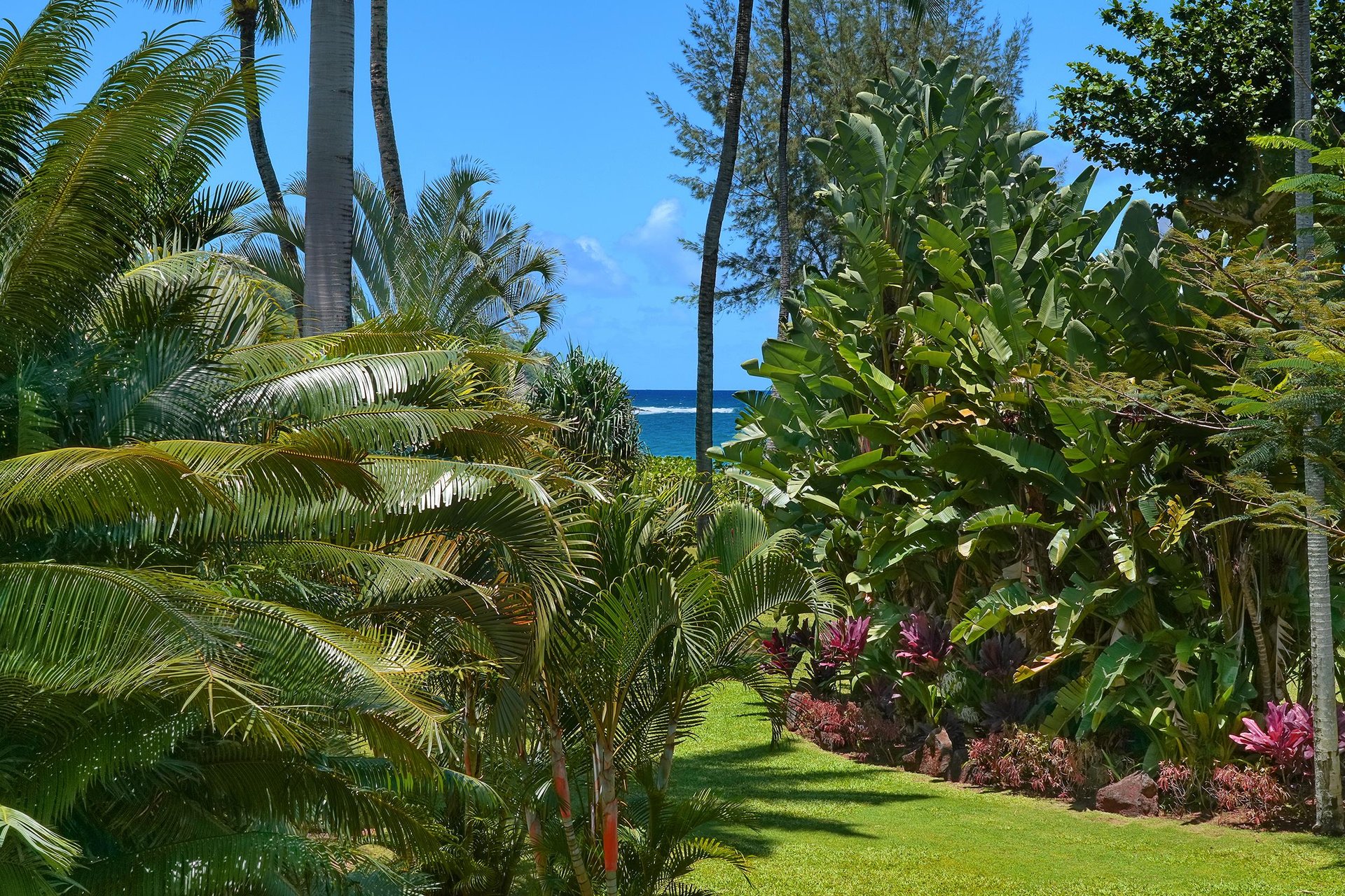 Partial ocean view can be seen from the Cottage