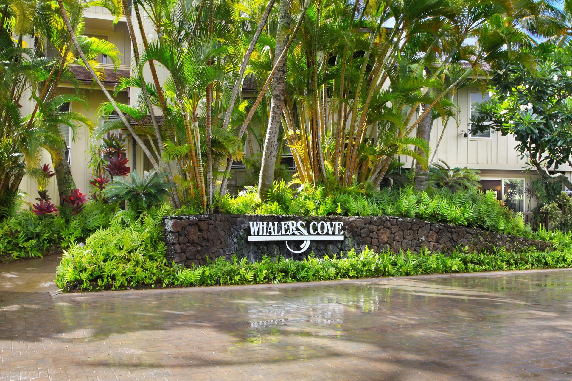 Whalers Cove entrance