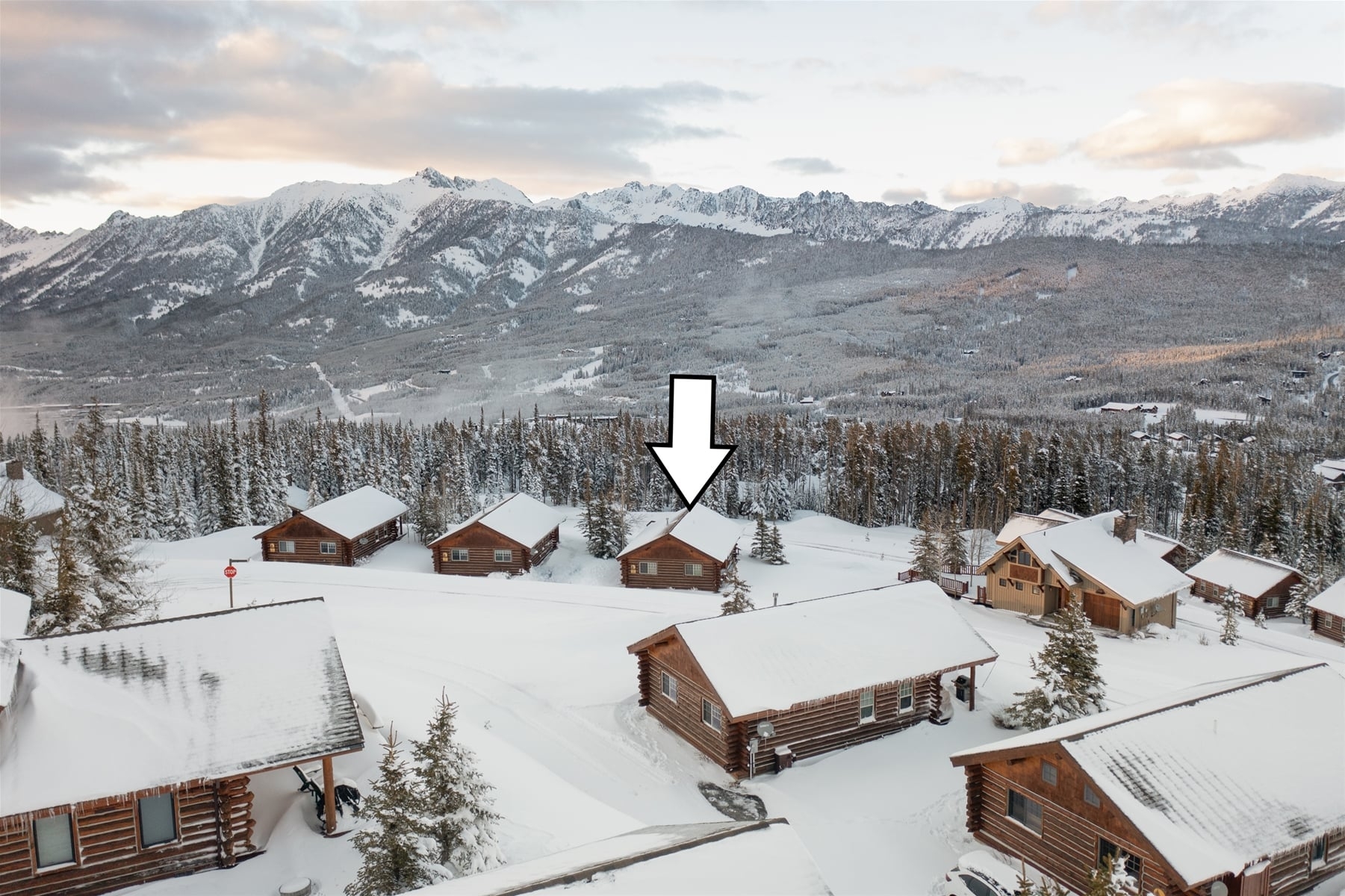 a group of houses in a snowy place