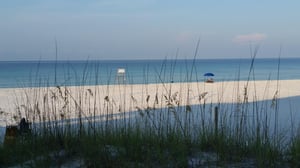 152990 Mark D Beach