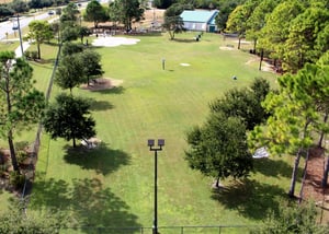 1594861 Dog Park