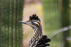 147092 Trailsatindiancanyons