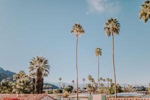 147294 Palmspringsmodsquadtours