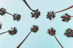 147307 Palmspringscelebritytours