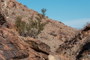 228237 Araby Trails