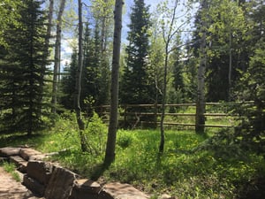 SkiinSkiout access right from the back of the house