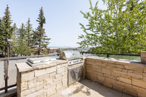BBQ grill in flagstone setup on the private patio