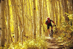 40083 Mountain Biking In Park City, Utah  Scott Markewitzgetty Images