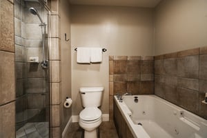 Full main bathroom with separate jetted tub and glass panel shower