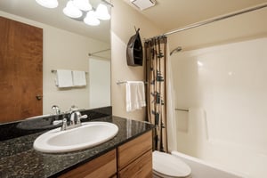 Guest bathroom