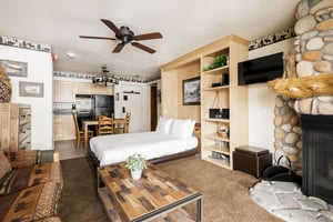 Wall mounted TV, fireplace, and murphy bed