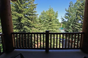 Summer view on the private patio