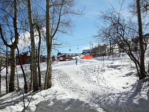 Winter View