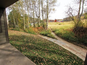 Fall View