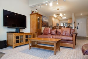Sleeper sofa in the living room