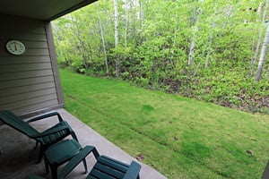 Summer View