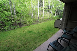 Summer View