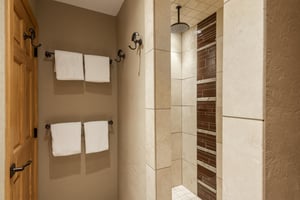 Guest bathroom shower