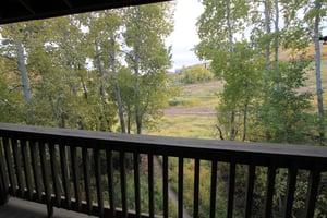 Summer View