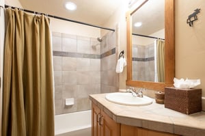 Full guest bathroom