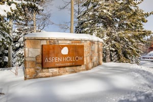 Gorgeous upper Deer Valley 5bedroom vacation home with skiout trail and hot tub
